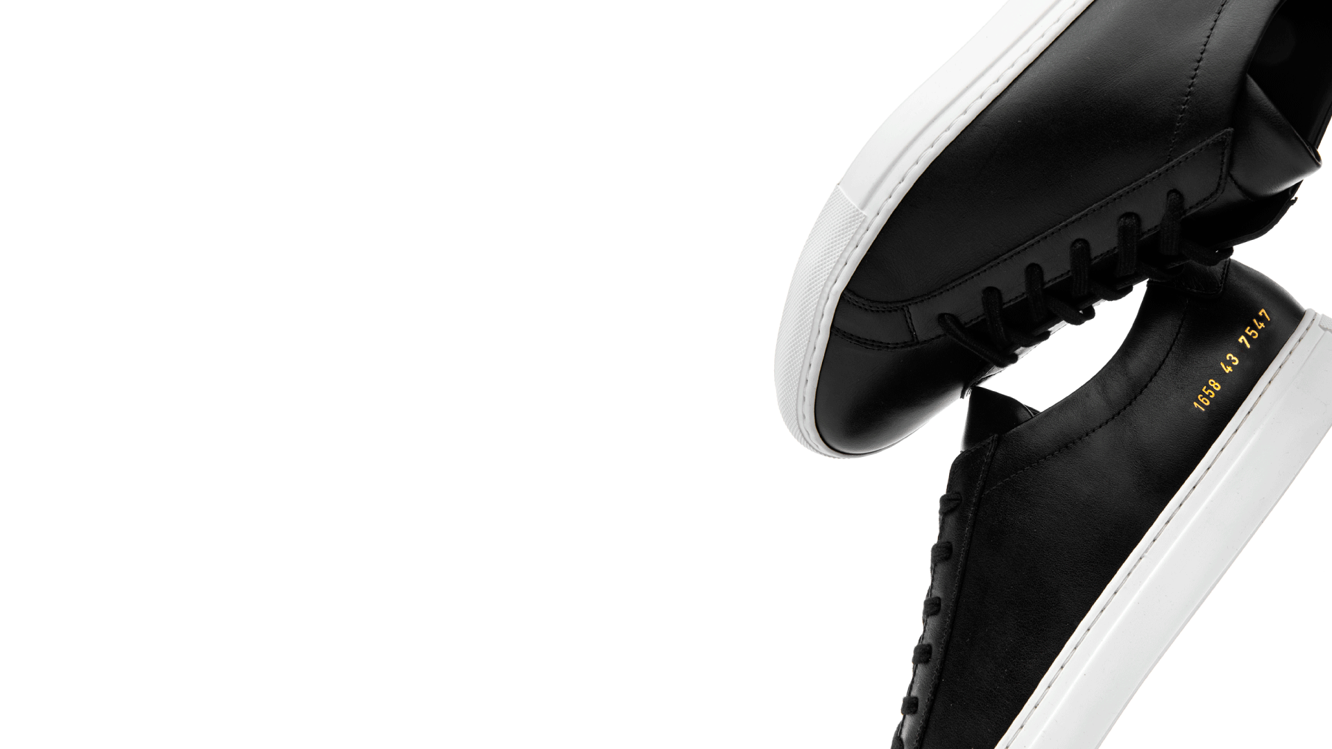 Common Projects