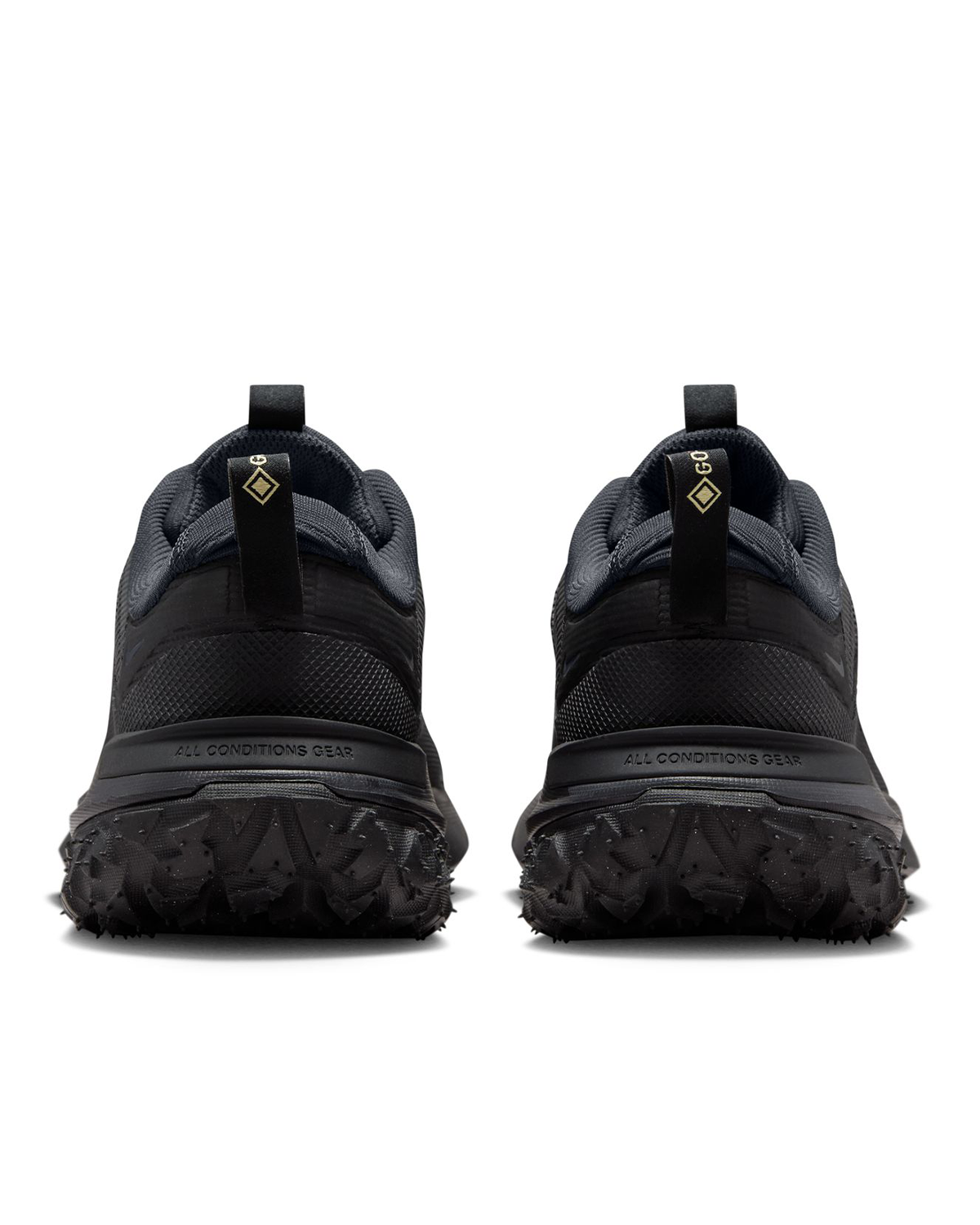 ACG Mountain Fly 2 Low GORE-TEX 'Dark Smoke Grey'