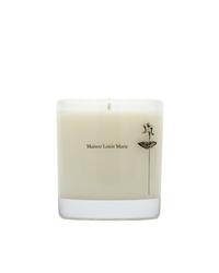 Antidris Cassis Candle with Gift Box - LIKELIHOOD