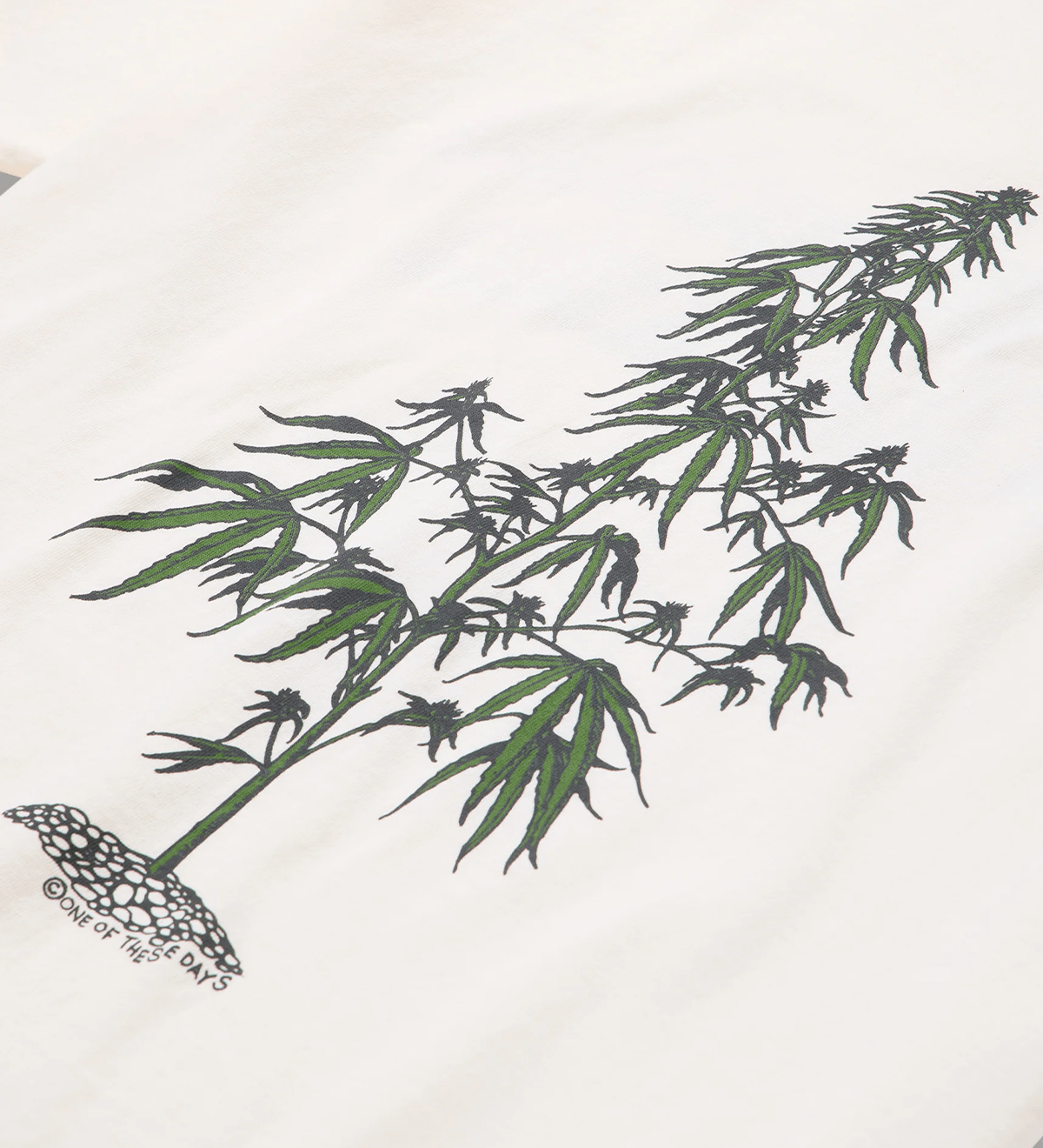 Away Go Trouble T-Shirt Bone - LIKELIHOOD