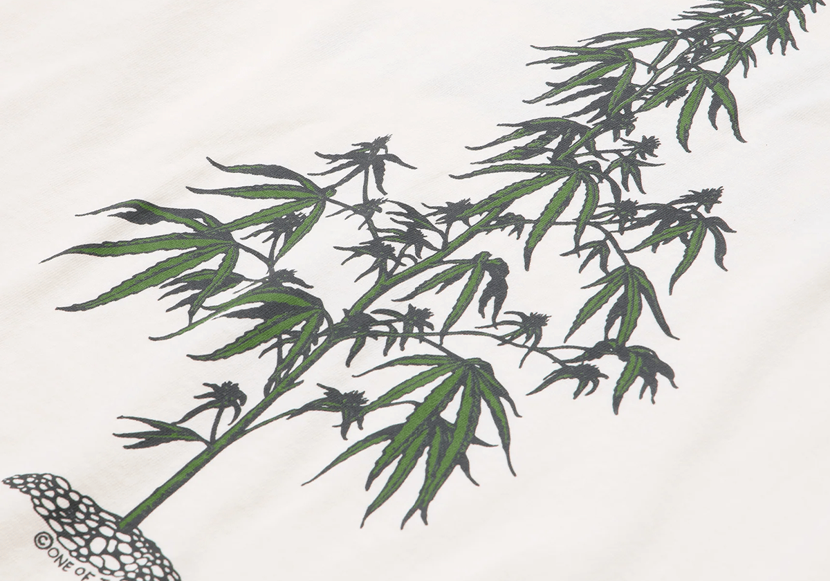 Away Go Trouble T-Shirt Bone - LIKELIHOOD