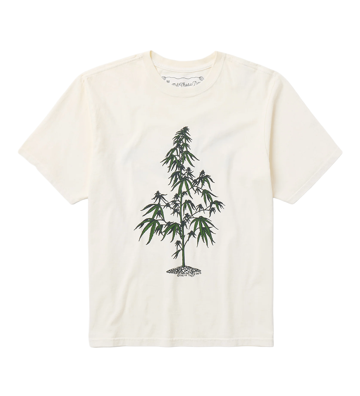 Away Go Trouble T-Shirt Bone - LIKELIHOOD