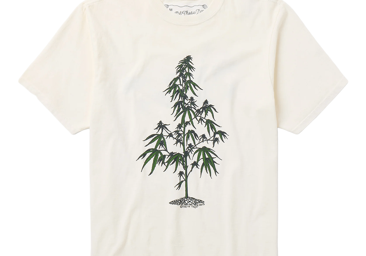 Away Go Trouble T-Shirt Bone - LIKELIHOOD