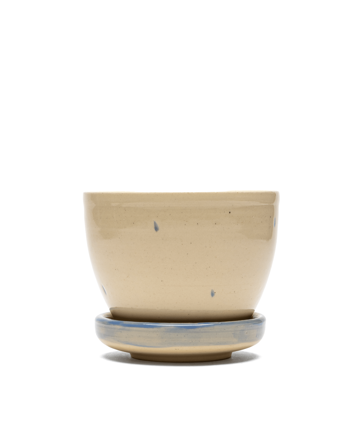 Blue Pony Planter - LIKELIHOOD