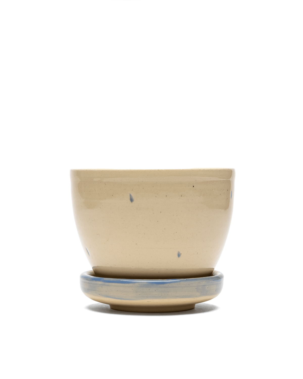 Blue Pony Planter - LIKELIHOOD