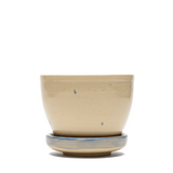 Blue Pony Planter - LIKELIHOOD