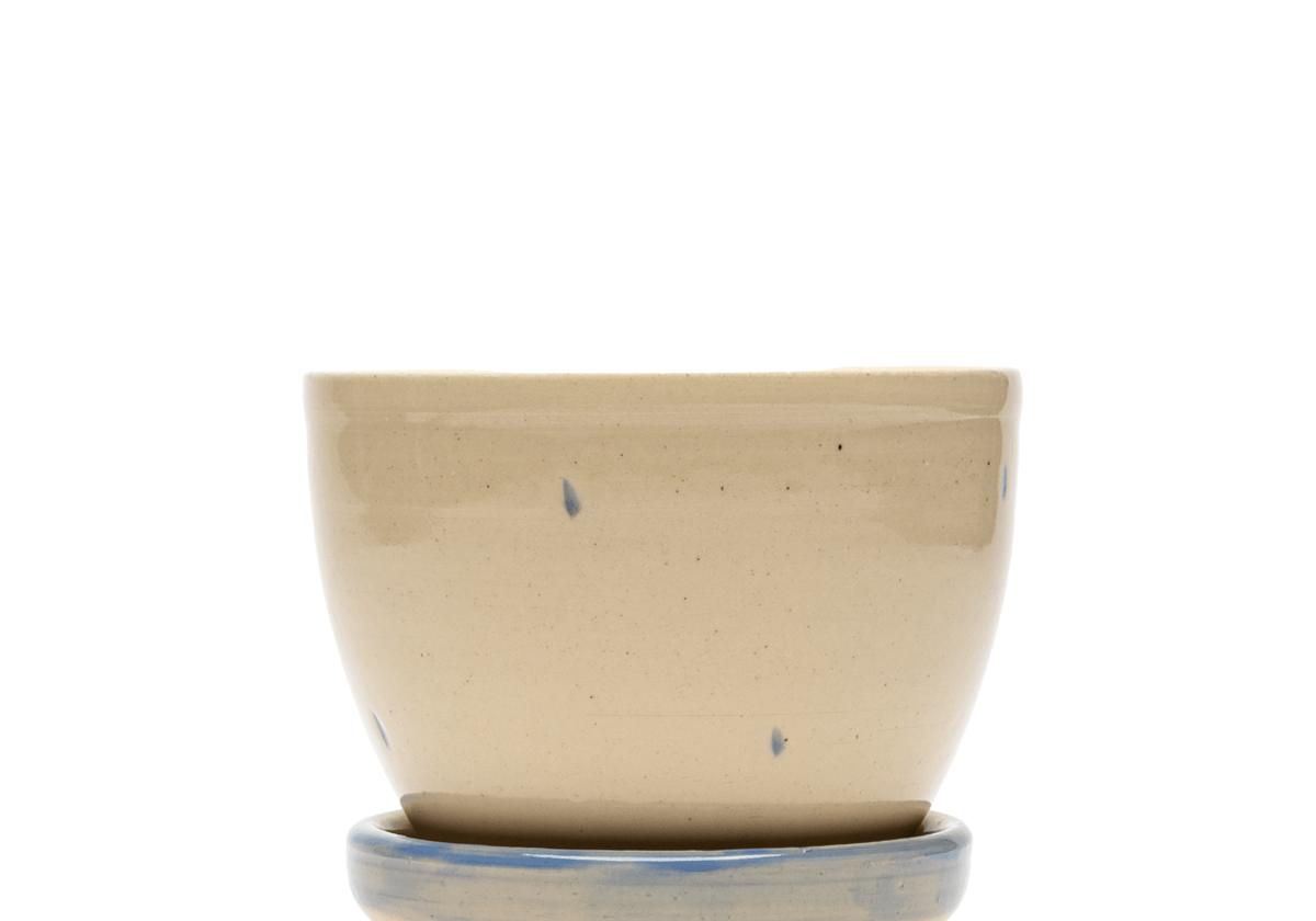 Blue Pony Planter - LIKELIHOOD