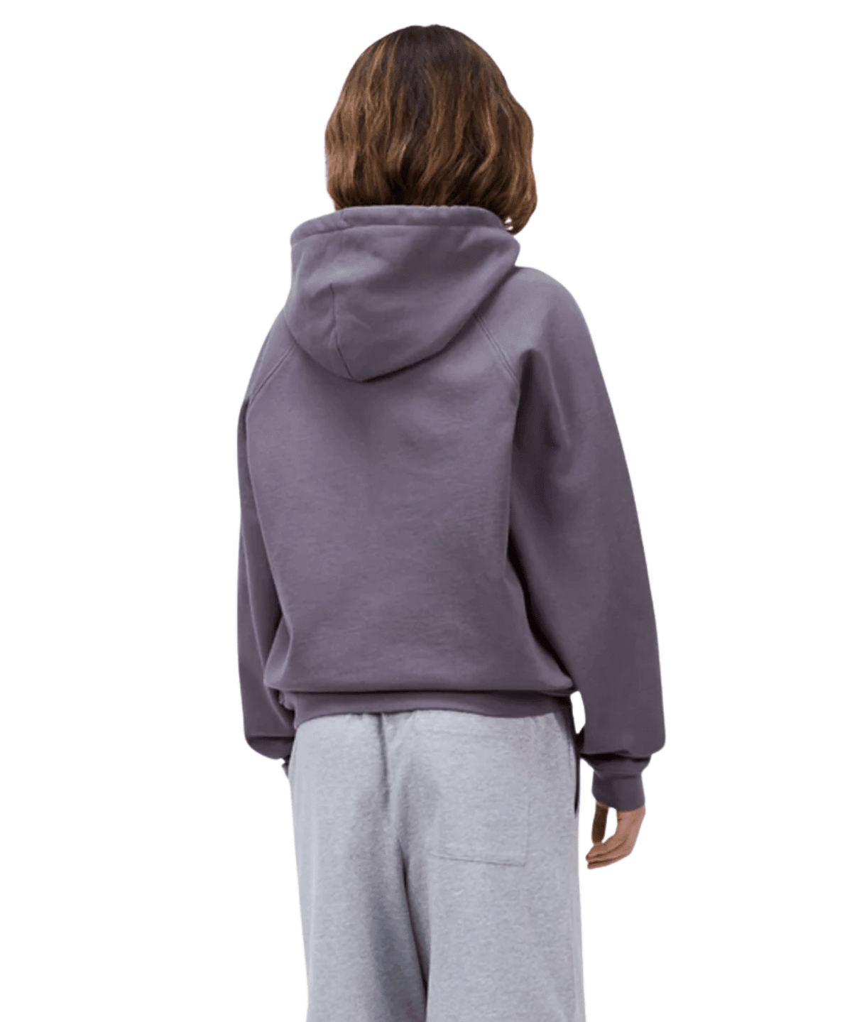 Classic Small Logo Zip Hoodie Charcoal Grape - LIKELIHOOD