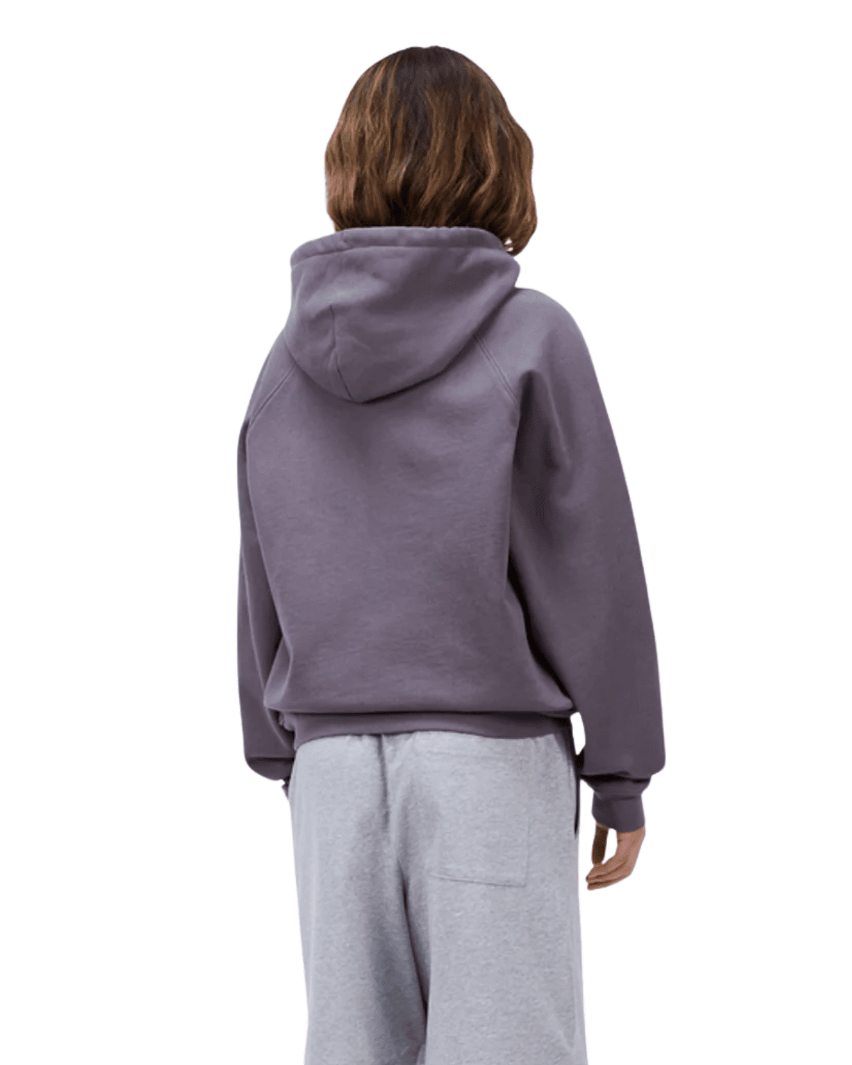 Classic Small Logo Zip Hoodie Charcoal Grape - LIKELIHOOD