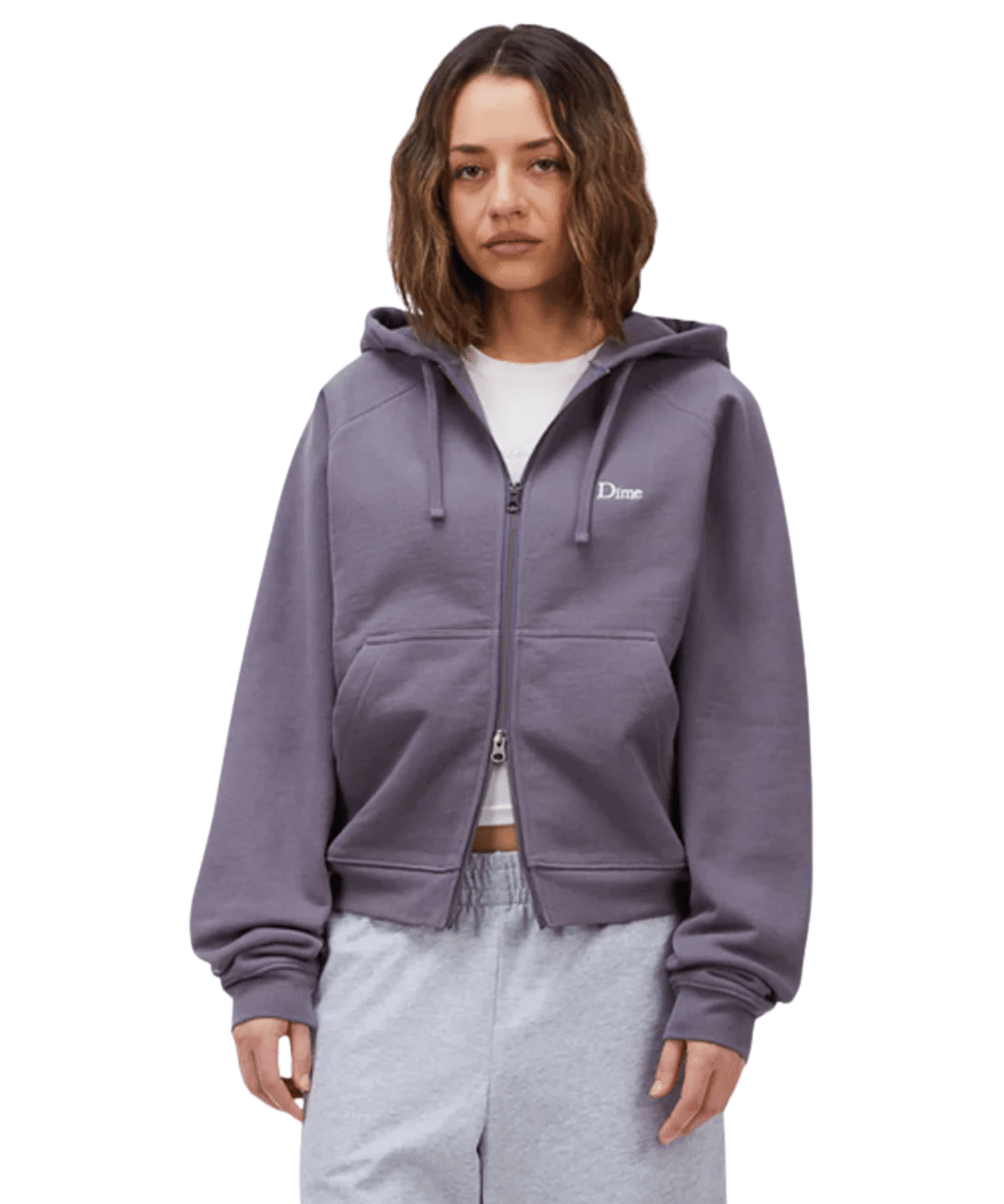 Classic Small Logo Zip Hoodie Charcoal Grape - LIKELIHOOD