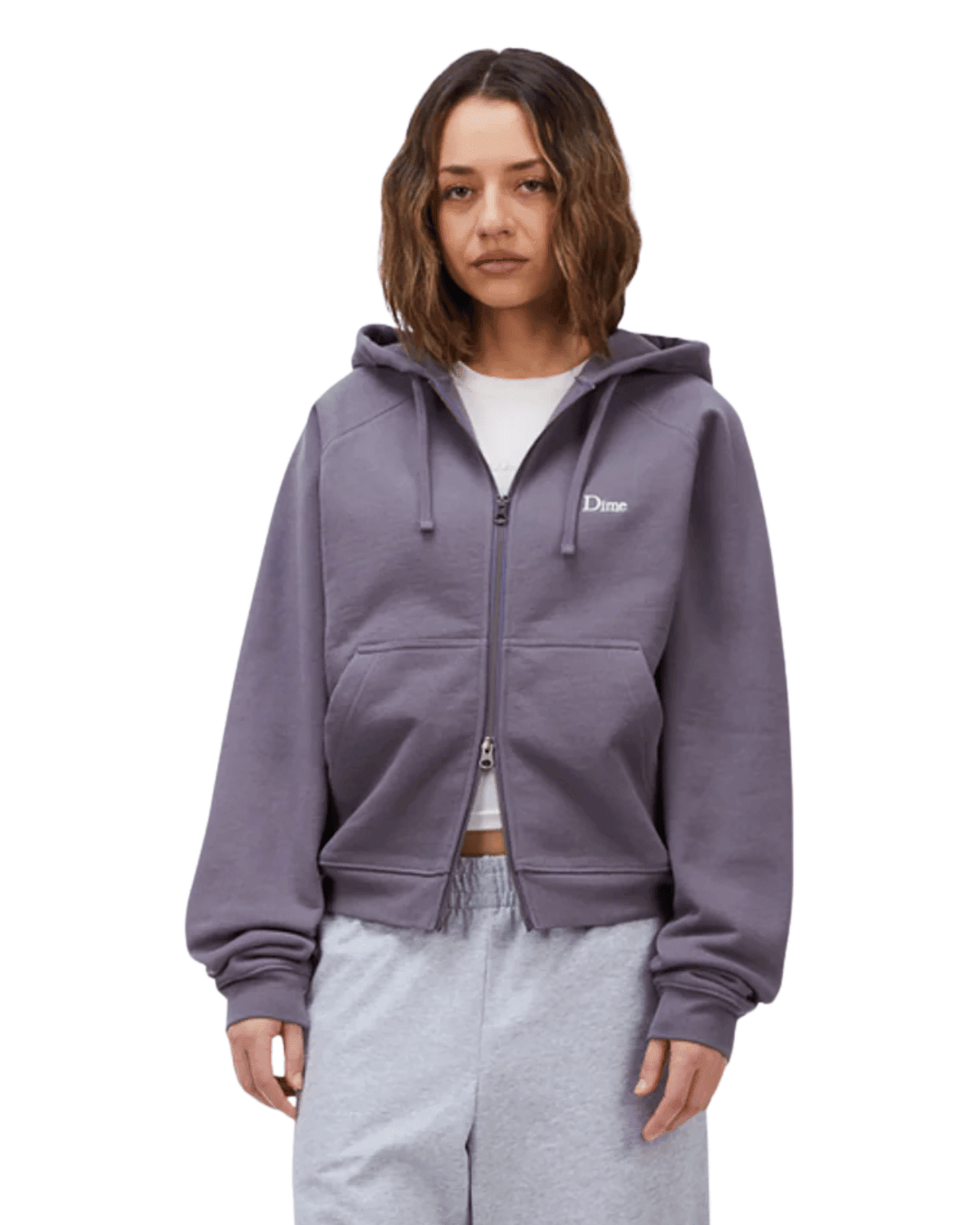 Classic Small Logo Zip Hoodie Charcoal Grape - LIKELIHOOD
