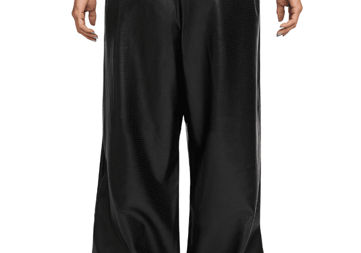 Flight Faux - Leather Pants Black - LIKELIHOOD