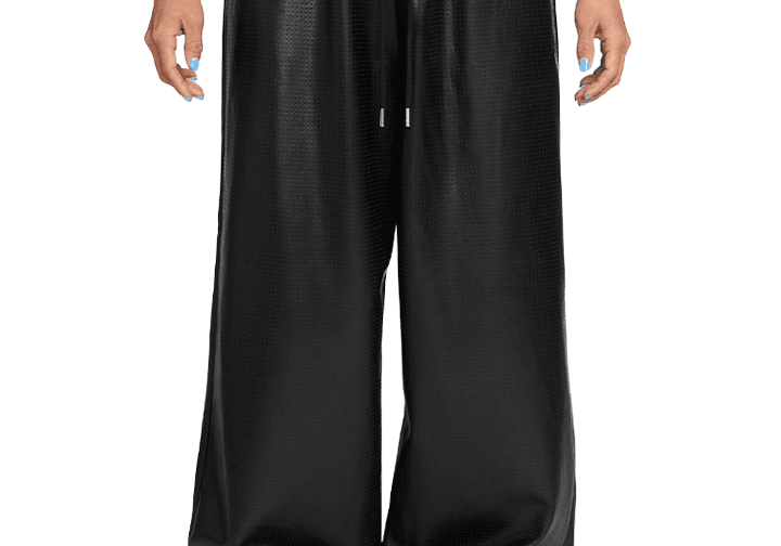 Flight Faux - Leather Pants Black - LIKELIHOOD