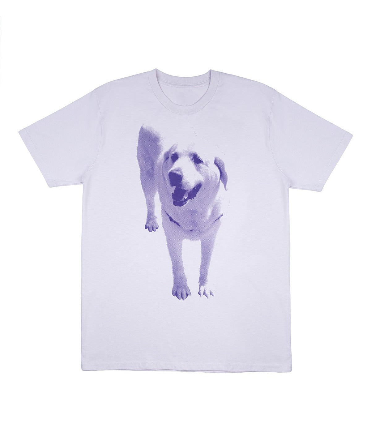 Kevin Tee Orchid - LIKELIHOOD