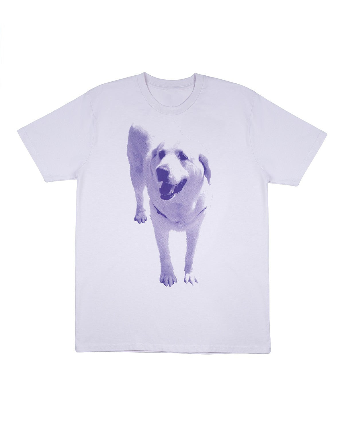 Kevin Tee Orchid - LIKELIHOOD