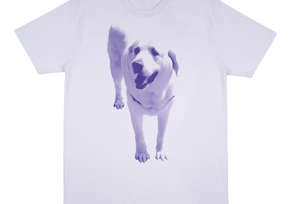 Kevin Tee Orchid - LIKELIHOOD