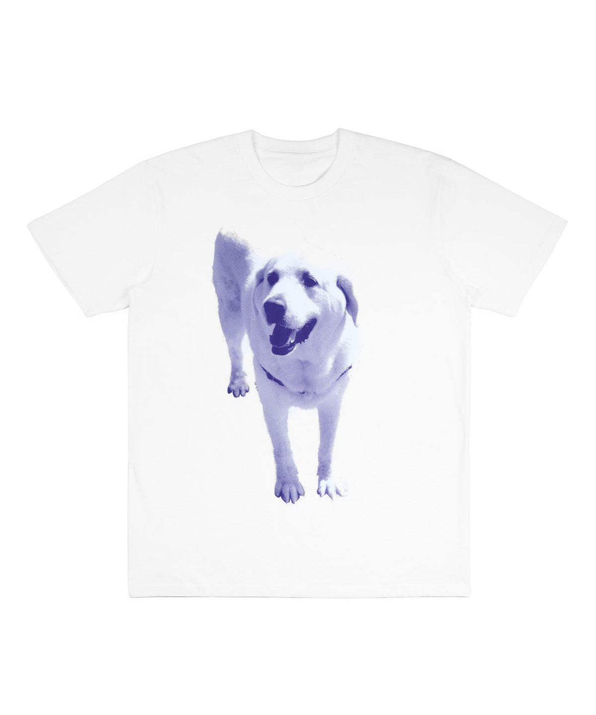 Kevin Tee White - LIKELIHOOD