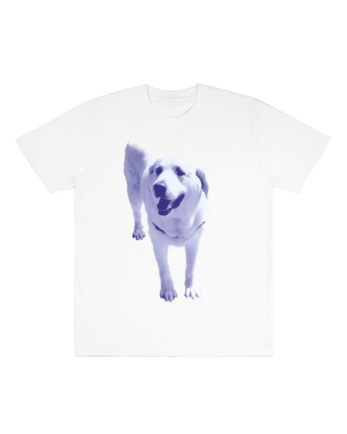 Kevin Tee White - LIKELIHOOD