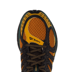 KSRC Konejo Pumpkin Spice - LIKELIHOOD