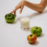 Liane de Tomato Candle with Gift Box - LIKELIHOOD