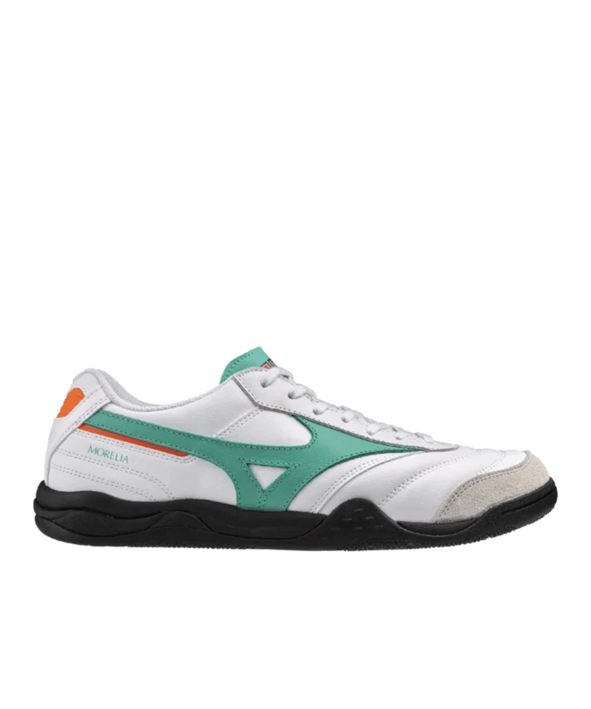 Morelia Ls White Arcadia - LIKELIHOOD