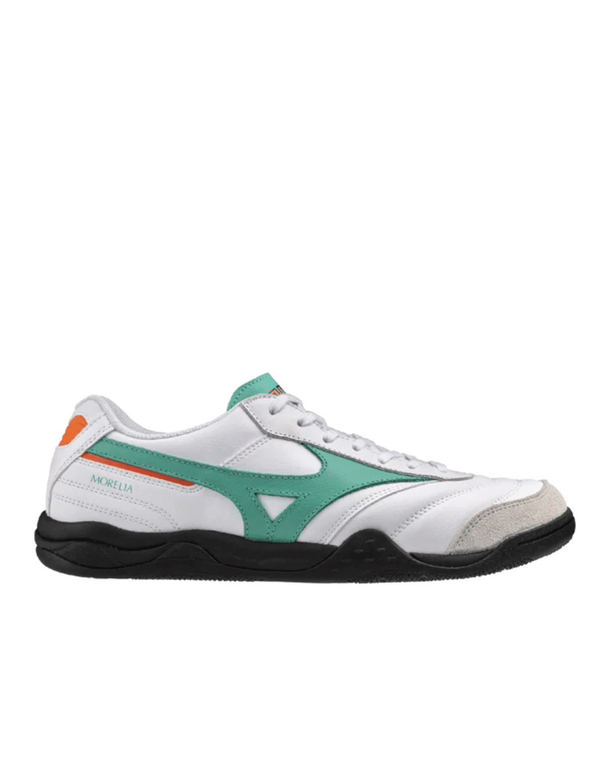 Morelia Ls White Arcadia - LIKELIHOOD