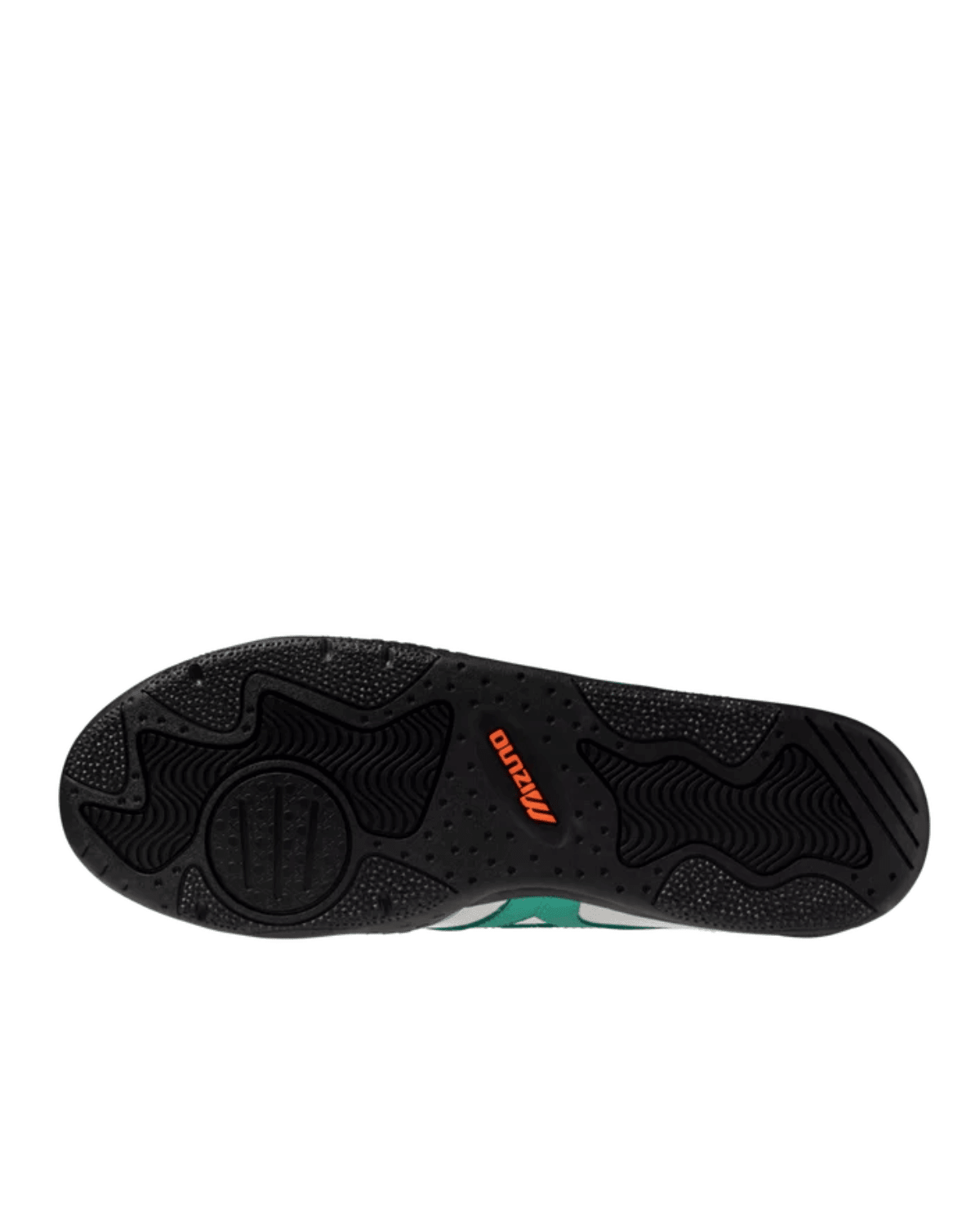 Morelia Ls White Arcadia - LIKELIHOOD