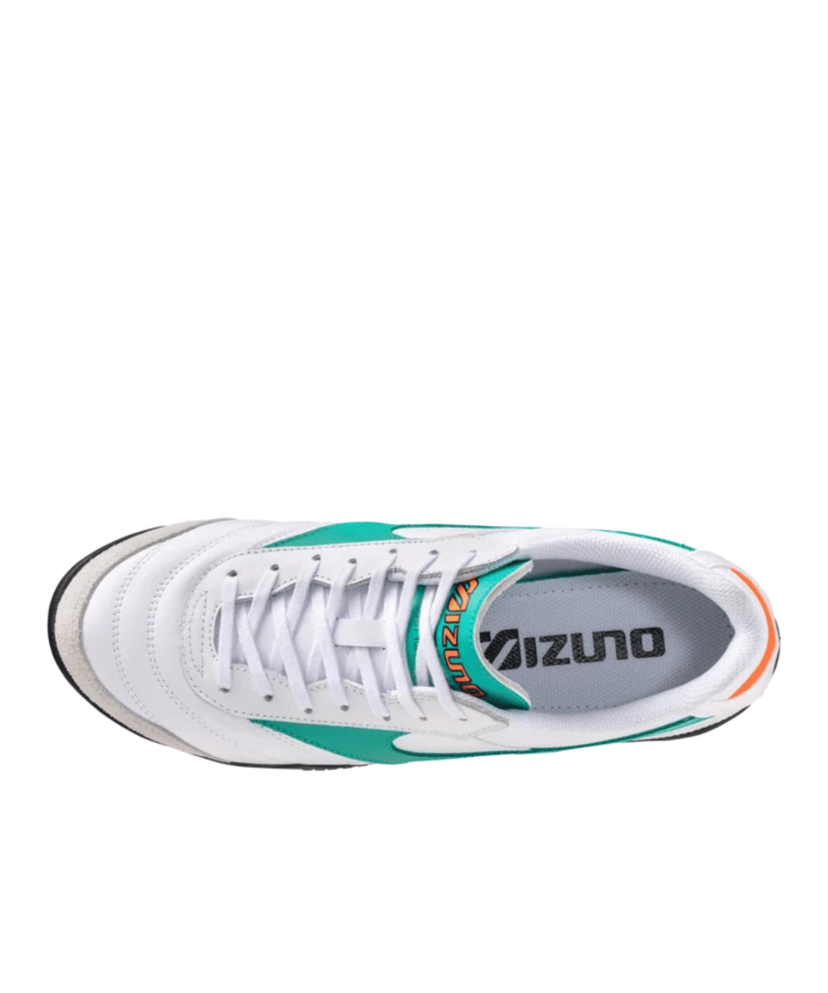Morelia Ls White Arcadia - LIKELIHOOD
