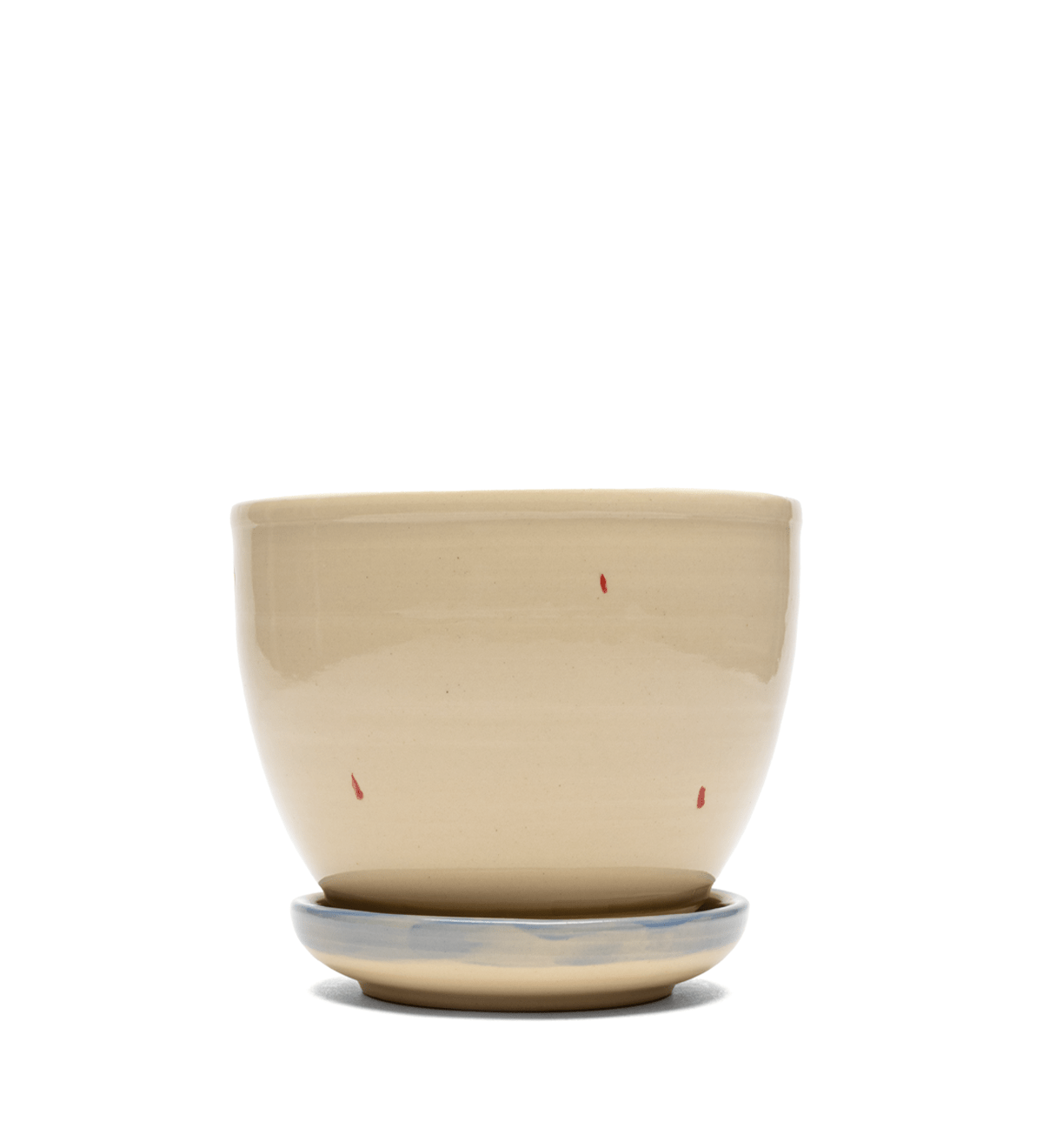 Panther Planter - LIKELIHOOD