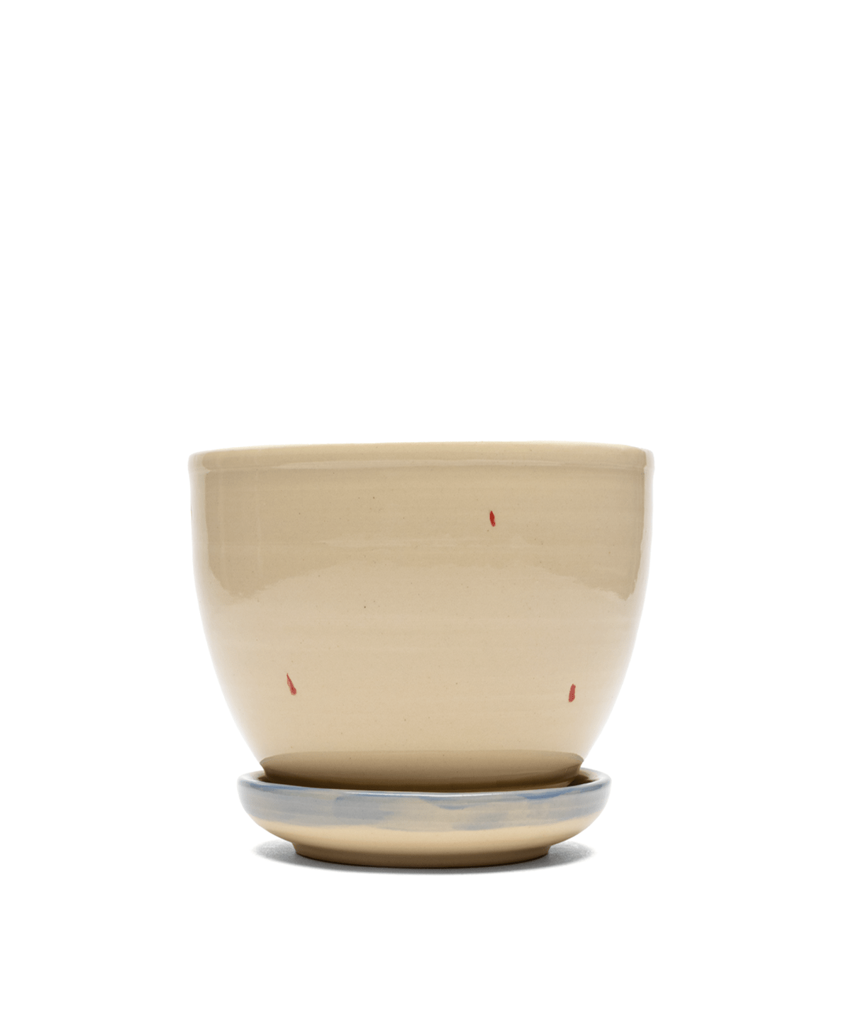 Panther Planter - LIKELIHOOD
