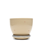 Panther Planter - LIKELIHOOD