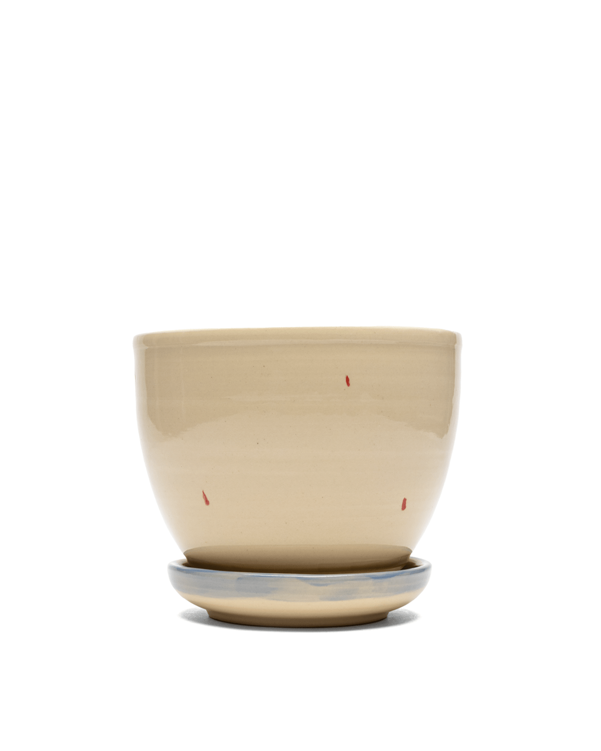 Panther Planter - LIKELIHOOD