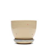 Panther Planter - LIKELIHOOD