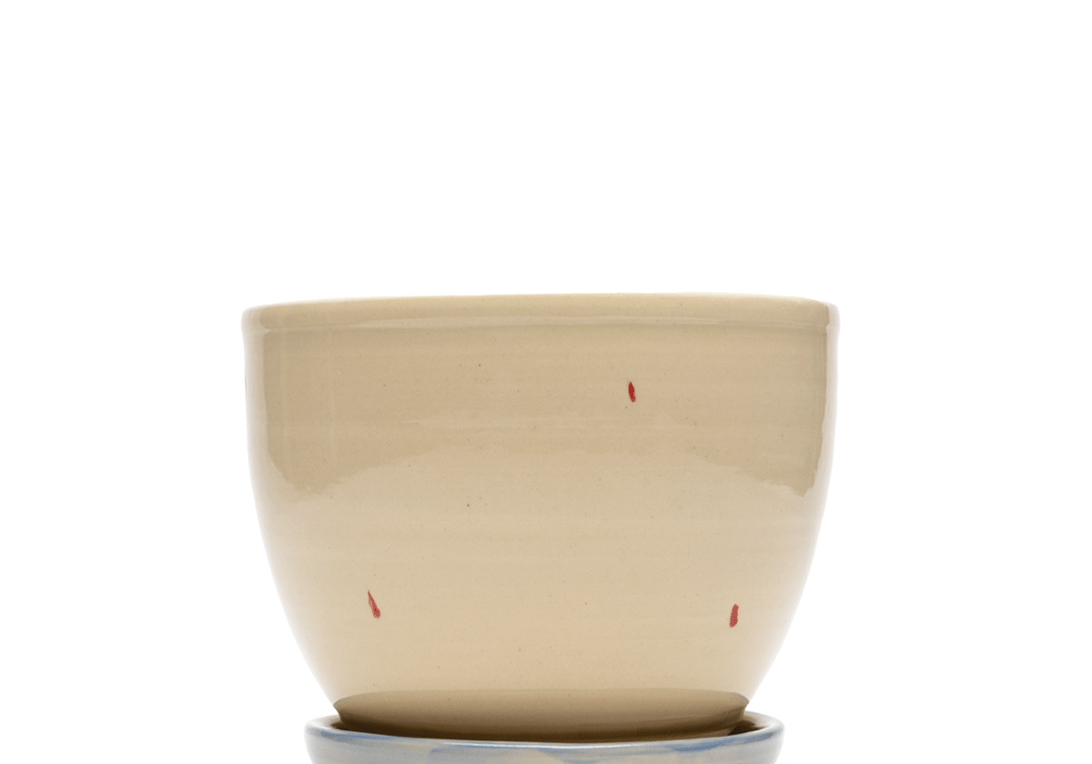 Panther Planter - LIKELIHOOD