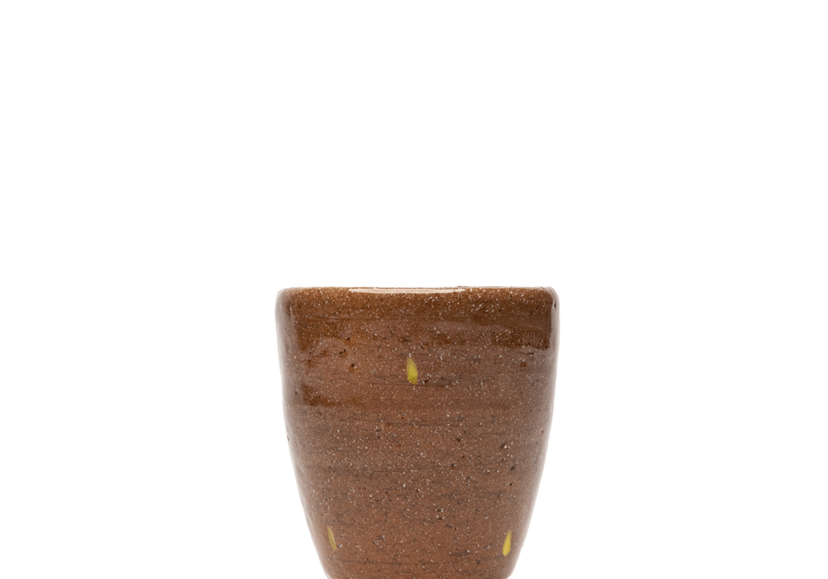 Santa Fe Yeehaw Turtle - LIKELIHOOD