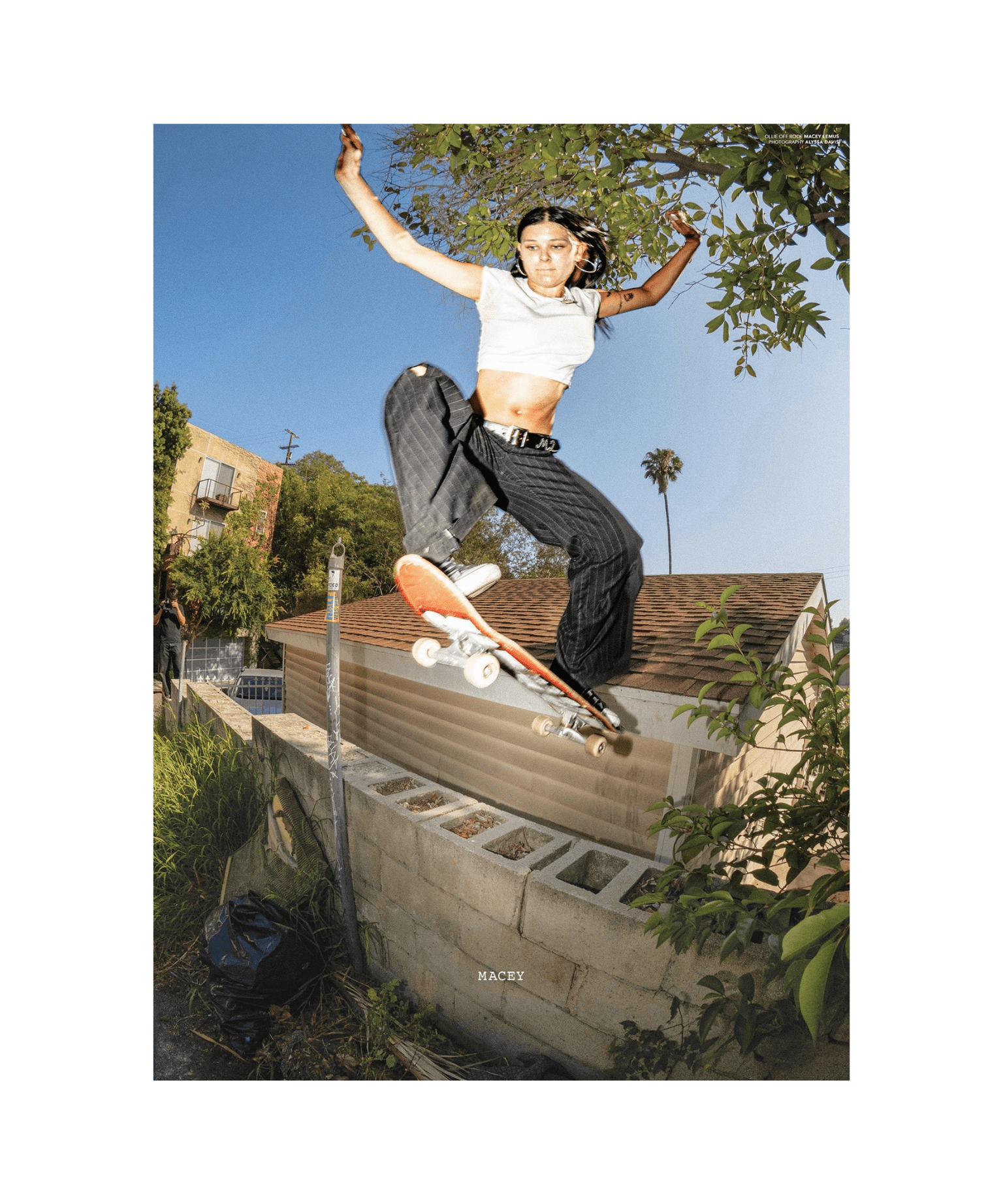 Sneeze No 68 "The Flow State Issue" - LIKELIHOOD