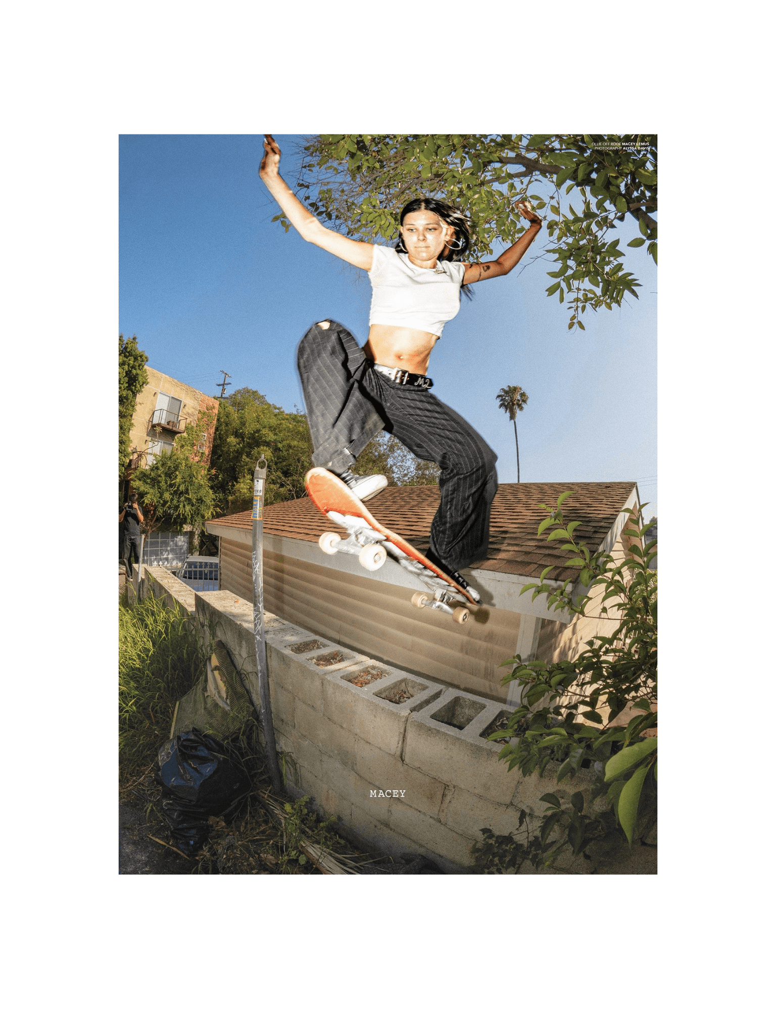 Sneeze No 68 "The Flow State Issue" - LIKELIHOOD