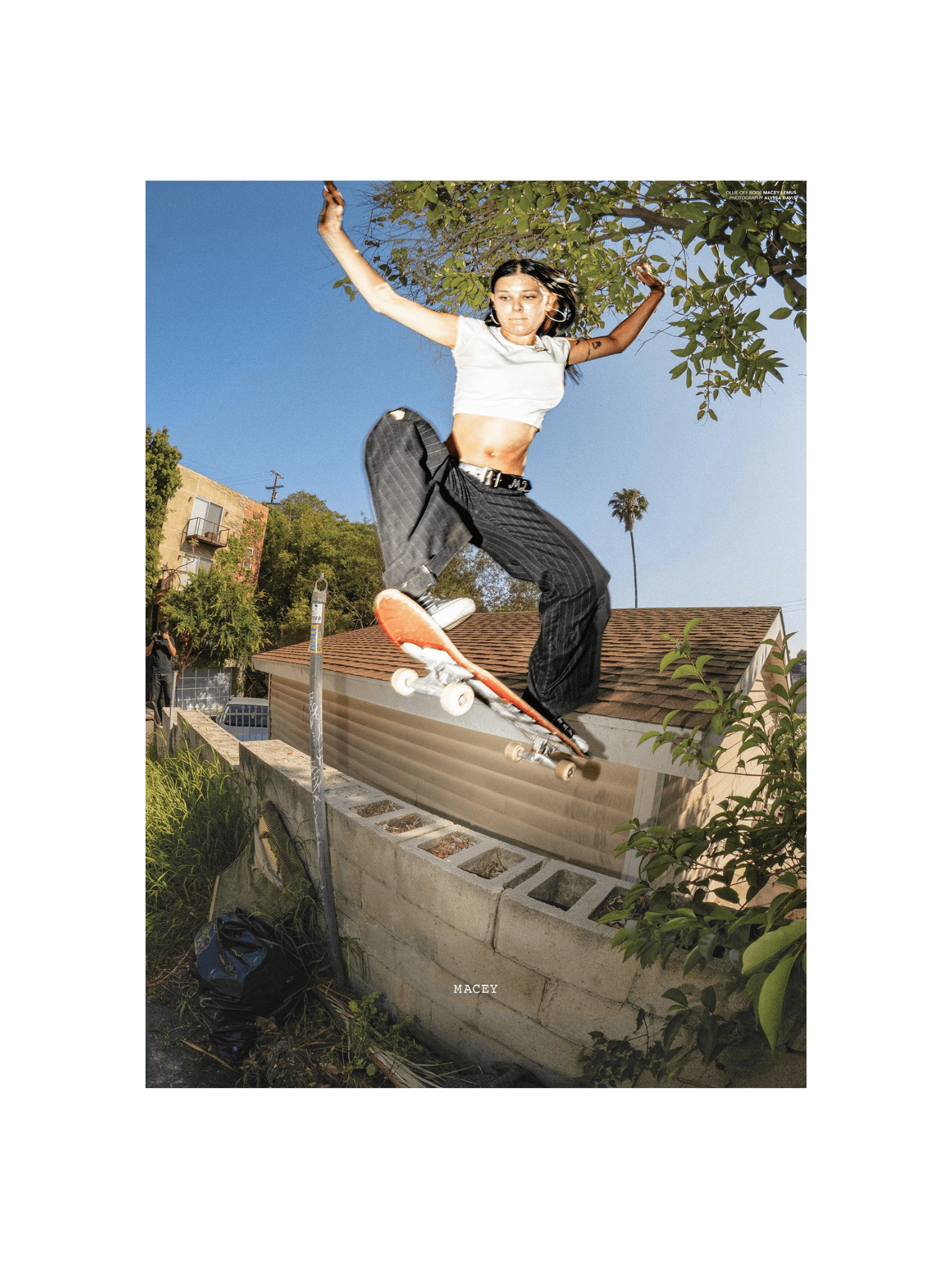 Sneeze No 68 "The Flow State Issue" - LIKELIHOOD