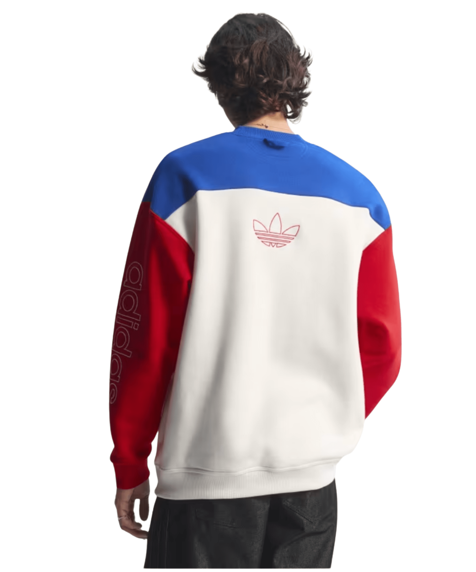 USA 94 Graphic Sweatshirt - LIKELIHOOD