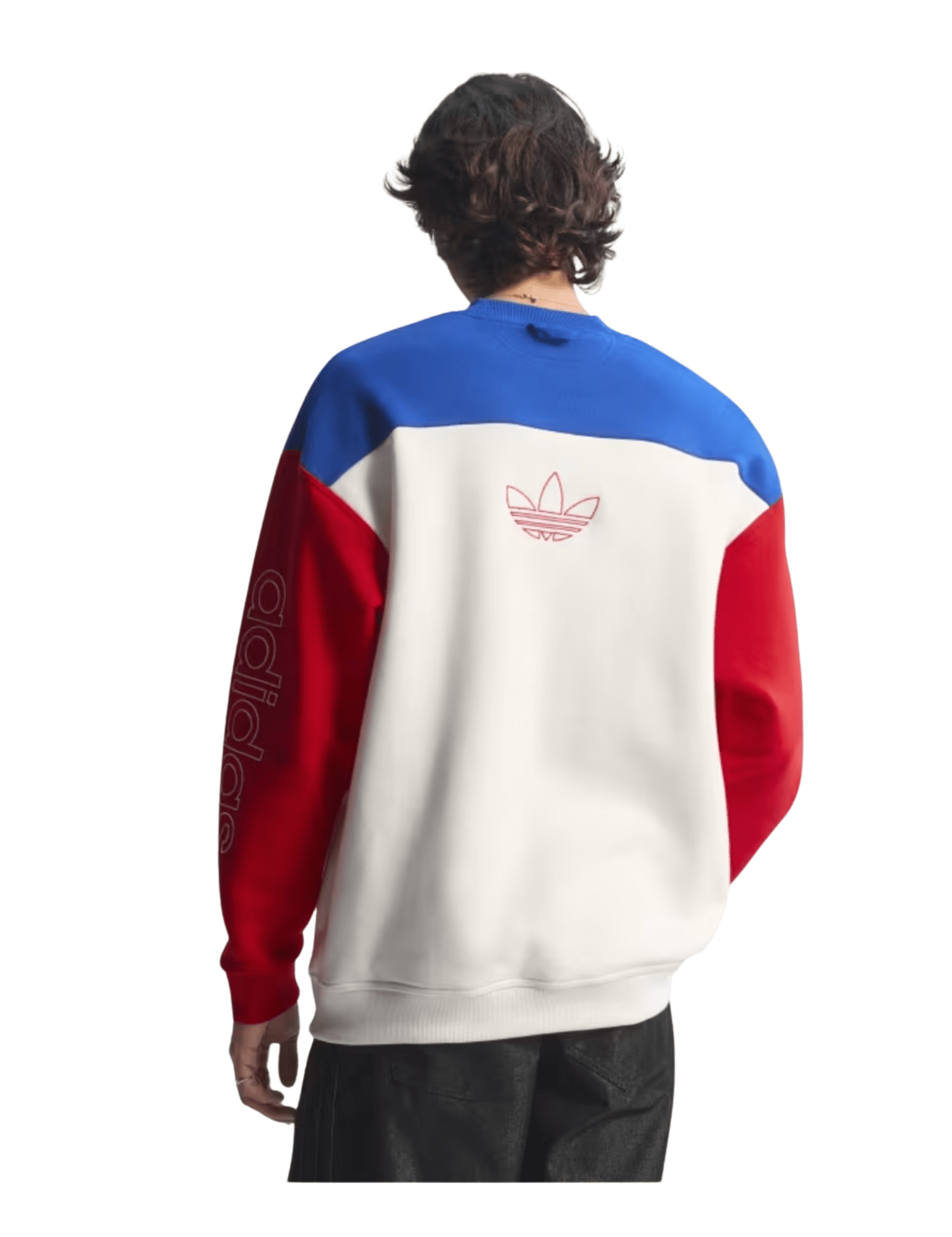 USA 94 Graphic Sweatshirt - LIKELIHOOD
