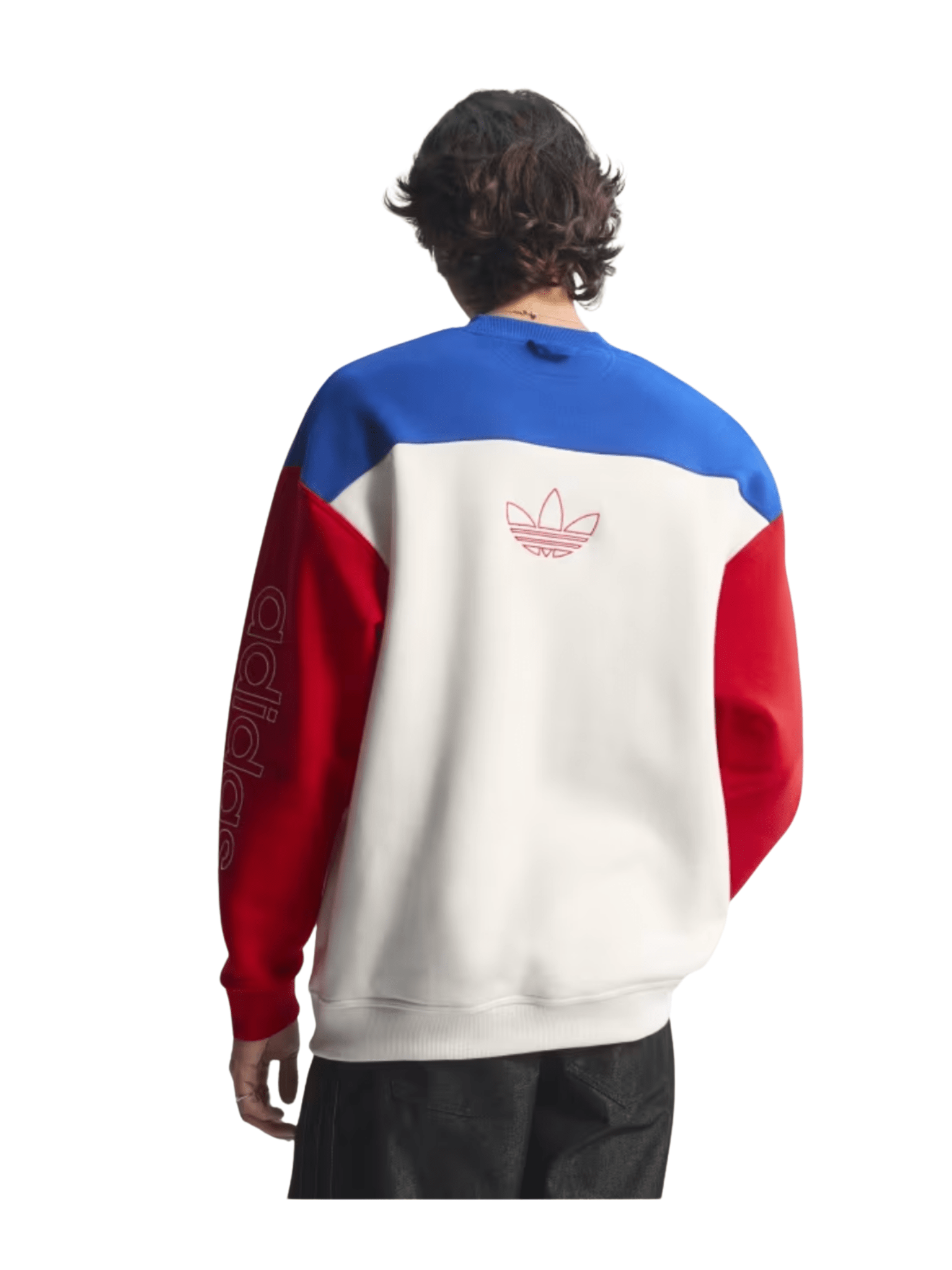 USA 94 Graphic Sweatshirt - LIKELIHOOD