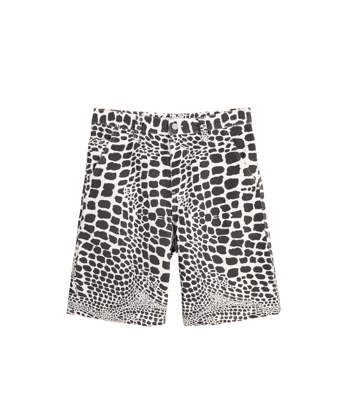 Work Short Canvas Safari - LIKELIHOOD