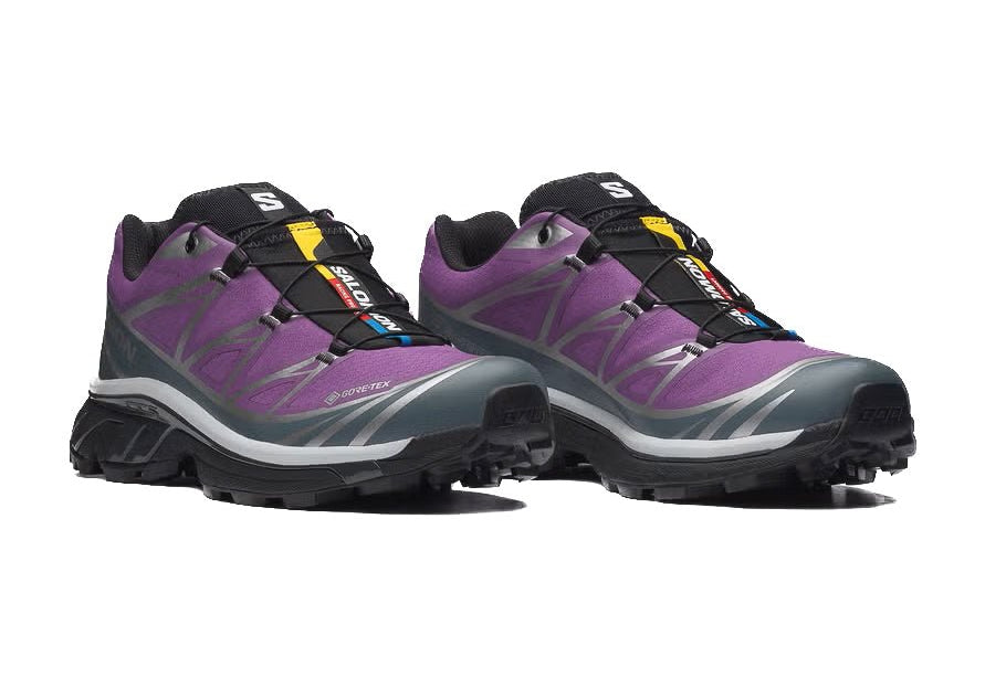 XT - 6 GTX Concord Grape - LIKELIHOOD