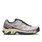 XT - 6 GTX Paloma - LIKELIHOOD