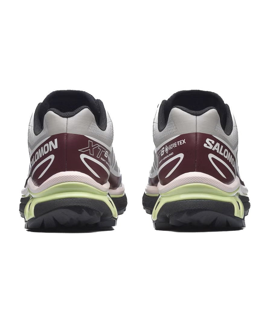 XT - 6 GTX Paloma - LIKELIHOOD